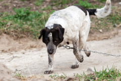 phoca_thumb_l_IMG_2111_resize