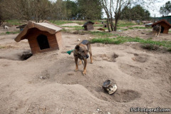 phoca_thumb_l_IMG_2121_resize
