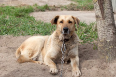 phoca_thumb_l_IMG_2127_resize