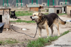 phoca_thumb_l_IMG_2140_resize