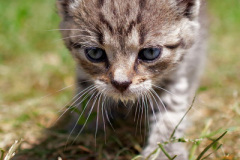 phoca_thumb_l_IMG_3896_resize
