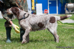 phoca_thumb_l_IMG_3955_resize