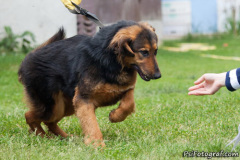 phoca_thumb_l_IMG_3961_resize