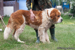 phoca_thumb_l_IMG_3991_resize