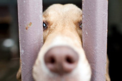 phoca_thumb_l_IMG_4032_resize