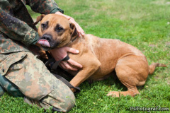 phoca_thumb_l_IMG_4040_resize