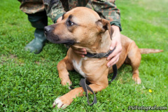 phoca_thumb_l_IMG_4048_resize