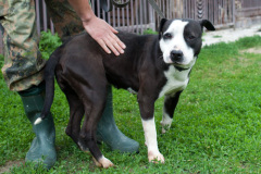 phoca_thumb_l_IMG_4054_resize