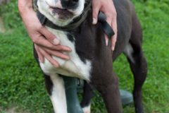 phoca_thumb_l_IMG_4064_resize