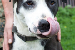 phoca_thumb_l_IMG_4065_resize