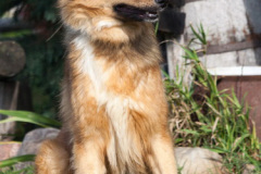 phoca_thumb_l_IMG_0284_resize