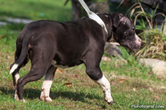 phoca_thumb_l_IMG_0303_resize