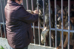phoca_thumb_l_IMG_0333_resize