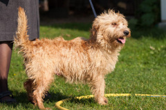 phoca_thumb_l_IMG_0453_resize