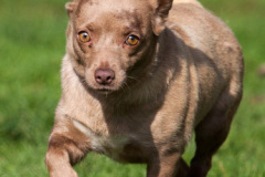 phoca_thumb_l_IMG_0466_resize