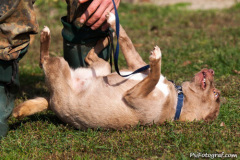 phoca_thumb_l_IMG_0473_resize