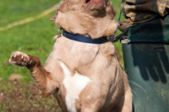 phoca_thumb_l_IMG_0481_resize