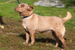 phoca_thumb_l_IMG_0486_resize