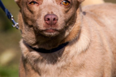 phoca_thumb_l_IMG_0498_resize