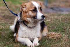 phoca_thumb_l_IMG_0574_resize