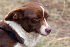phoca_thumb_l_IMG_0593_resize