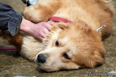 phoca_thumb_l_IMG_0639_resize
