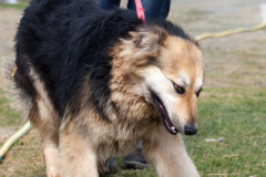 phoca_thumb_l_IMG_0682_resize