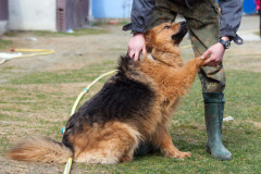 phoca_thumb_l_IMG_0707_resize