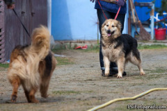 phoca_thumb_l_IMG_0709_resize