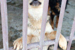 phoca_thumb_l_IMG_0728_resize