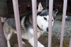 phoca_thumb_l_IMG_0738_resize