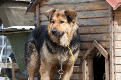 phoca_thumb_l_IMG_0743_resize