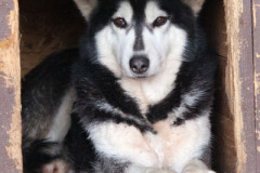 phoca_thumb_l_IMG_0756_resize