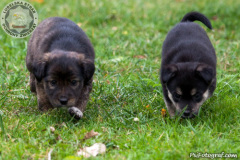 phoca_thumb_l_IMG_0114_resize