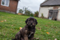 phoca_thumb_l_IMG_0125_resize