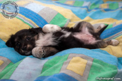 phoca_thumb_l_IMG_0264_resize