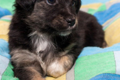 phoca_thumb_l_IMG_0266_resize