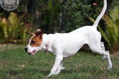 phoca_thumb_l_IMG_8758_resize