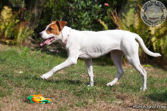 phoca_thumb_l_IMG_8774_resize