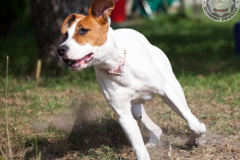 phoca_thumb_l_IMG_8780_resize