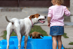 phoca_thumb_l_IMG_8817_resize