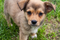 phoca_thumb_l_IMG_7778_resize