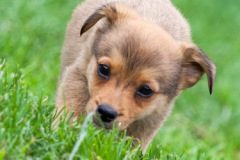 phoca_thumb_l_IMG_7797_resize