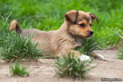 phoca_thumb_l_IMG_7823_resize