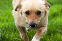 phoca_thumb_l_IMG_7874_resize