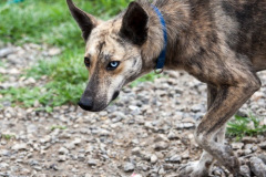 phoca_thumb_l_IMG_7896_resize