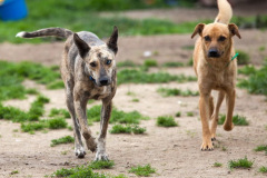 phoca_thumb_l_IMG_7912_resize