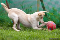 phoca_thumb_l_IMG_7967_resize
