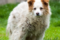 phoca_thumb_l_IMG_8124_resize