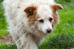 phoca_thumb_l_IMG_8139_resize